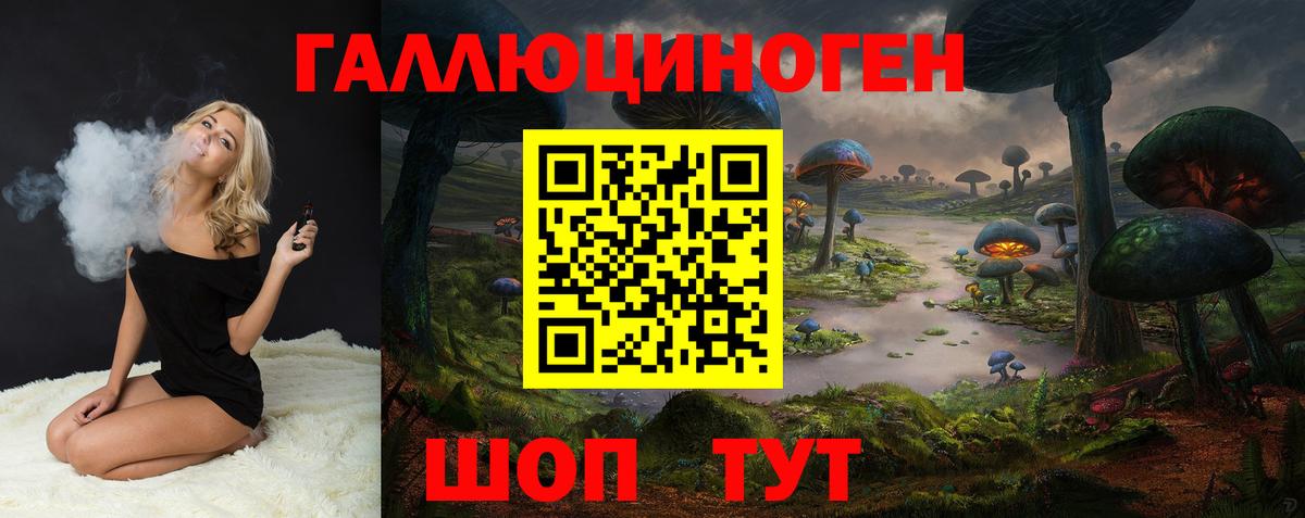 Асино  Галлюциногенные грибы Psilocybe  Вход с VPN  Псилоцибиновые грибы мухоморы 