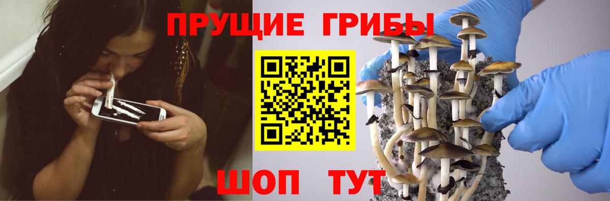 Галлюциногенные грибы MAGIC MUSHROOMS Асино